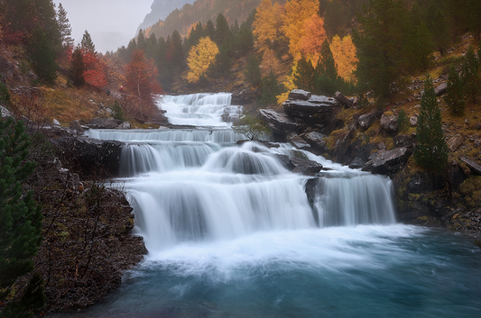 Embracing Nature's Symphony: The Enchanting Beauty of Bushkill Falls