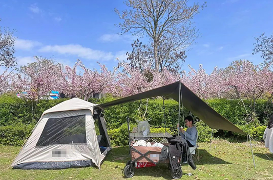 Finding Joy in Camping: My Recent Love Affair with the Outdoors