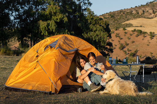 Camping with Pets: A Pawsitively Unforgettable Adventure!