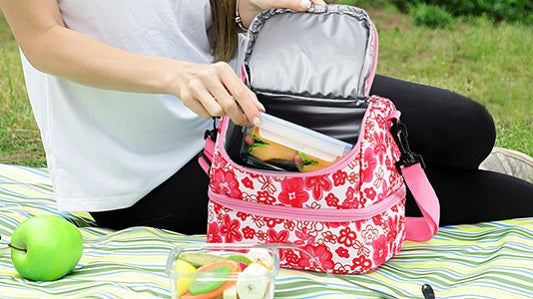 The Best Insulated Lunch Bag for Kids in MIER