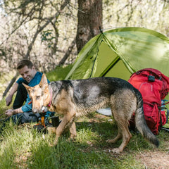 Ultralight Backpacking Tent 3-4 Person Camping Tents with Footprint Camping Tent MIER